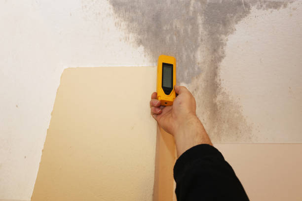 Best Mold Prevention Services  in Surf City, NC
