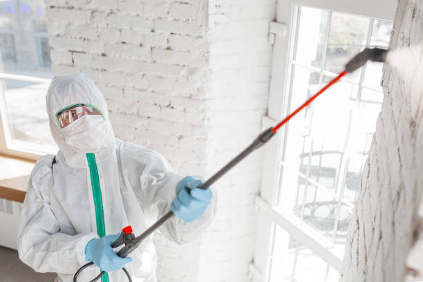 Best Biohazard Mold Removal  in Surf City, NC