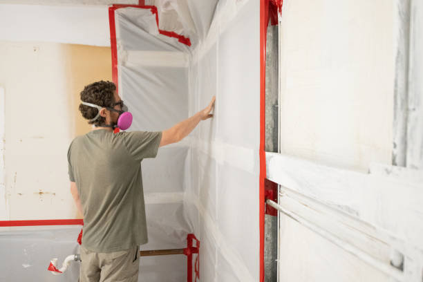 Environmental Consulting for Mold Prevention in Surf City, NC